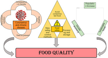 Food Safety & Quality Dissertation